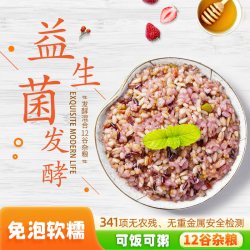 益人谷 益生菌发酵混合米12谷 2.5kg 袋装