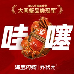 苏状元 大闸蟹鲜活螃蟹全母蟹2.5-28两 8只