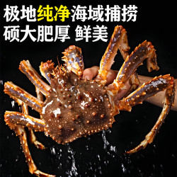 海泽鲜 帝王蟹俄罗斯特大鲜活冰鲜超大皇帝蟹大螃蟹年货礼盒 净重3-3.5斤 净重3-3.5斤
