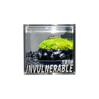 丘辰无蟹可击苔藓微景观生态瓶办公室内桌面小盆栽绿植螃蟹缸 无蟹可击（螃蟹缸）