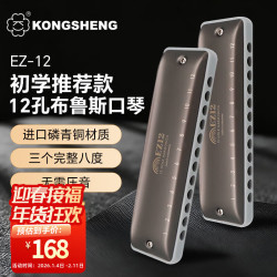 孔声 EZ-12 12孔C调全音阶布鲁斯口琴（银色）