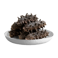 久年 大连产地直发淡干海参野生辽参刺身50g