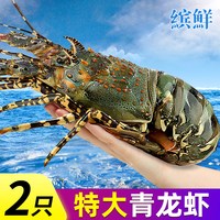  缤鲜 鲜活冷冻 龙虾