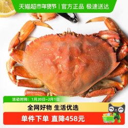 渔传播 加拿大珍宝蟹太子蟹 1.6斤-1.8斤