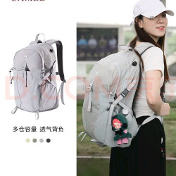 骆驼 双肩包登山包背包户外旅行徒步包旅游大容量书包 银绿色