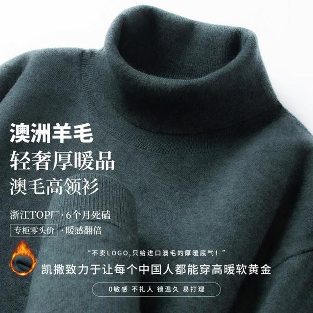 凯撒 男士高领羊毛衫 100%绵羊毛 多色绒感