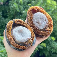 渔公鱼夫[精选]南非鲍鱼*青鱼鲍*大网鲍*溏心鲍鱼*干鲍鱼*鲍鱼干货 3头/1斤