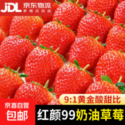 大凉山 红颜草莓 8-12g 2斤礼箱装