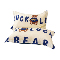 AVIVI 艾薇 枕头套110g磨毛枕套一对儿童枕套