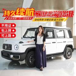 大G款四轮车电动车油电两用代步车新款接送孩子家用老头乐成年人 油电两用72V续航200公里
