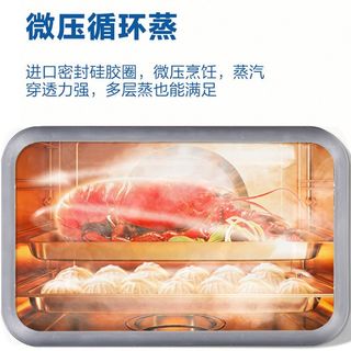  Galanz/格兰仕 P90 智能预约 蒸箱
