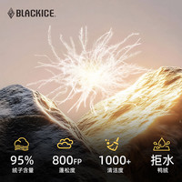 黑冰(BLACKICE)25冬季女800蓬羽绒服防风保暖活帽外套 F8962MJ 黑色 XL
