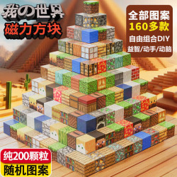 布鲁奇 童年无限 ONSHINE我的世界磁力方块