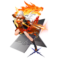 机械革命 翼龙15 Pro 2.5K 300Hz 轻薄游戏笔记本电脑  R7-255 灰