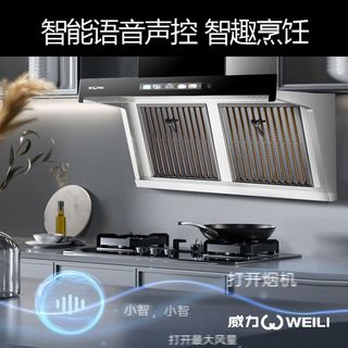  WEILI/威力 油烟分离 油烟机