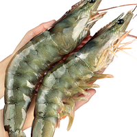 厄瓜多尔白虾大虾鲜活速冻盐冻2030南美白虾基围虾海虾对年货海鲜