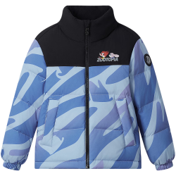 波司登 5A抗菌绒 儿童羽绒服  马到成功9FS4-店长  160 /80 约150-160cm 45kg