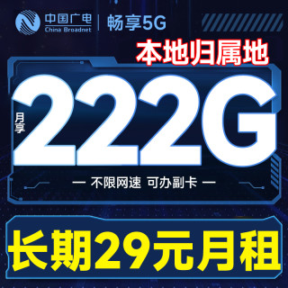 中国广电 本地归属地 长期29元月租（无需返费+222G通用流量+可办副卡+无合约期）畅享5G盛平卡