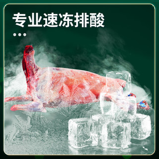 趣尝鲜 甘肃广河陇盛源羊蝎子6斤清真羊肉羊蝎子火锅羊肉生鲜源头直发