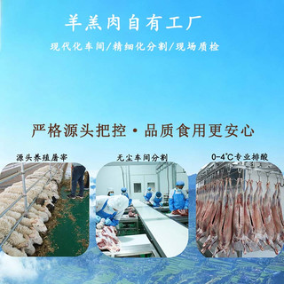 趣尝鲜 甘肃广河陇盛源羊蝎子6斤清真羊肉羊蝎子火锅羊肉生鲜源头直发