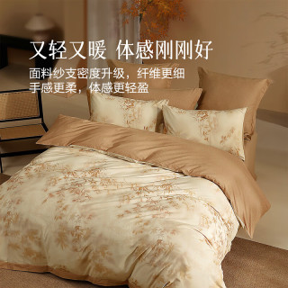 今日必买：水星家纺 秋冬款 40支全棉磨毛四件套 （被套200*230cm）