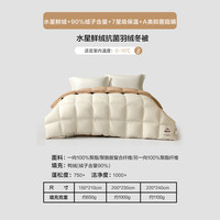 MERCURY/水星家纺 防钻绒科技 羽绒被 店长*冬被【“黄金6小时“新鲜绒朵+拒水羽绒科技】 200x230cm(适配1.5米床套件) A类