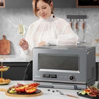 格兰仕 RT光波炉 微波炉