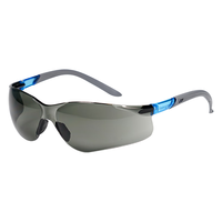 霍尼韦尔S300L(300311)骑行护目镜放刮擦防雾眼镜透明镜片防冲击男女平镜