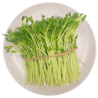 京鲜生 有机豌豆苗 300g/盒