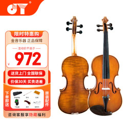金音 JYVL·M600-4/4 小提琴 初学入门玩具