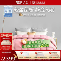 梦洁家纺 绒耀分区羽绒被 95%白鹅绒 1000g 200*230cm