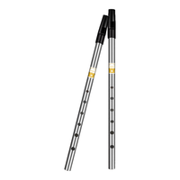 romusic哨笛爱尔兰C调六孔竖笛口笛成人初学专业演奏乐器 银色 C调 -雅致银+教程