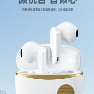 Nakamichi中道真无线蓝牙耳机半入耳式HIFI音质蓝牙5.4 STQ002