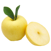 鲜姿黄元帅苹果黄金帅粉面起沙金帅金冠新鲜当季水果整箱 5斤(85mm+)