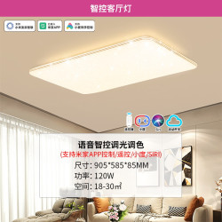 雷士 照明NVC 语音智能遥控吸顶灯客厅灯