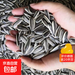 新货净重炒熟大颗粒原味葵花子 1斤装