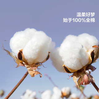水星家纺 花楹流年四件套