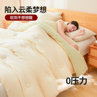 无印良品A类秋冬大豆被子6斤宿舍单人150x200cm加厚四季被上下铺 A类质感被芯-白