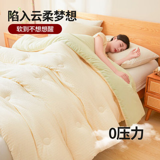 无印良品A类抗菌大豆被子150*200cm加厚秋冬被芯宿舍单人5斤四季被 A类质感被芯-白