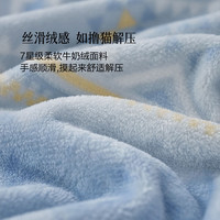 水星家纺 集团 百丽丝被套单件 A类牛奶绒加厚抗静电被套保暖暖绒被罩 (A类加厚牛奶绒+抗静电) 雪绒 150cm*210cm