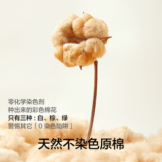 有棵树【不染原棉】A类婴儿纯棉女士内裤女10A抗菌柔软透气包臀女生短裤