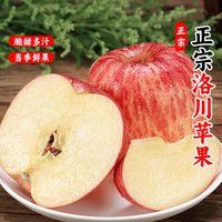 88VIP：洛川苹果 陕西洛川红富士苹果 净重4.5斤 中果（单果170-200g）