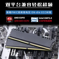 DDR5内存条台式机电脑8G 16G 32G 4800 56000 6000单条黑马甲ZTSZ