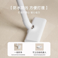 Y U-LIVE地毯客厅卧室2025新款床边房间奶油风免洗可擦轻奢高级感家用地垫 圈绒-