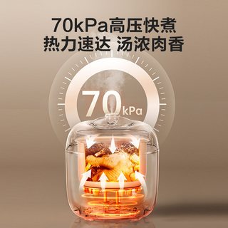  SUPOR/苏泊尔 20FC2001 全自动智能 电压力锅
