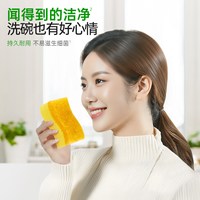88VIP：3M 百洁布清洁抗菌净味海绵防刮擦锅去污家用厨房
