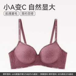 芬腾 聚拢无钢圈 女士文胸（多款可选）