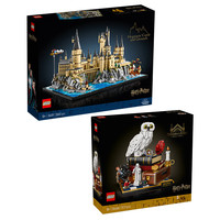  LEGO/乐高 哈利·波特与魔法石电影 乐高积木套装