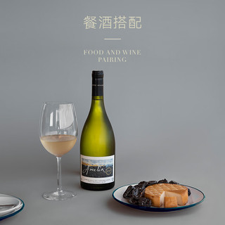 Concha y Toro干露艾米利雅Amelia霞多丽干白葡萄酒750ml单支 智利原瓶红酒