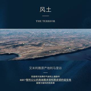 Concha y Toro干露艾米利雅Amelia霞多丽干白葡萄酒750ml单支 智利原瓶红酒